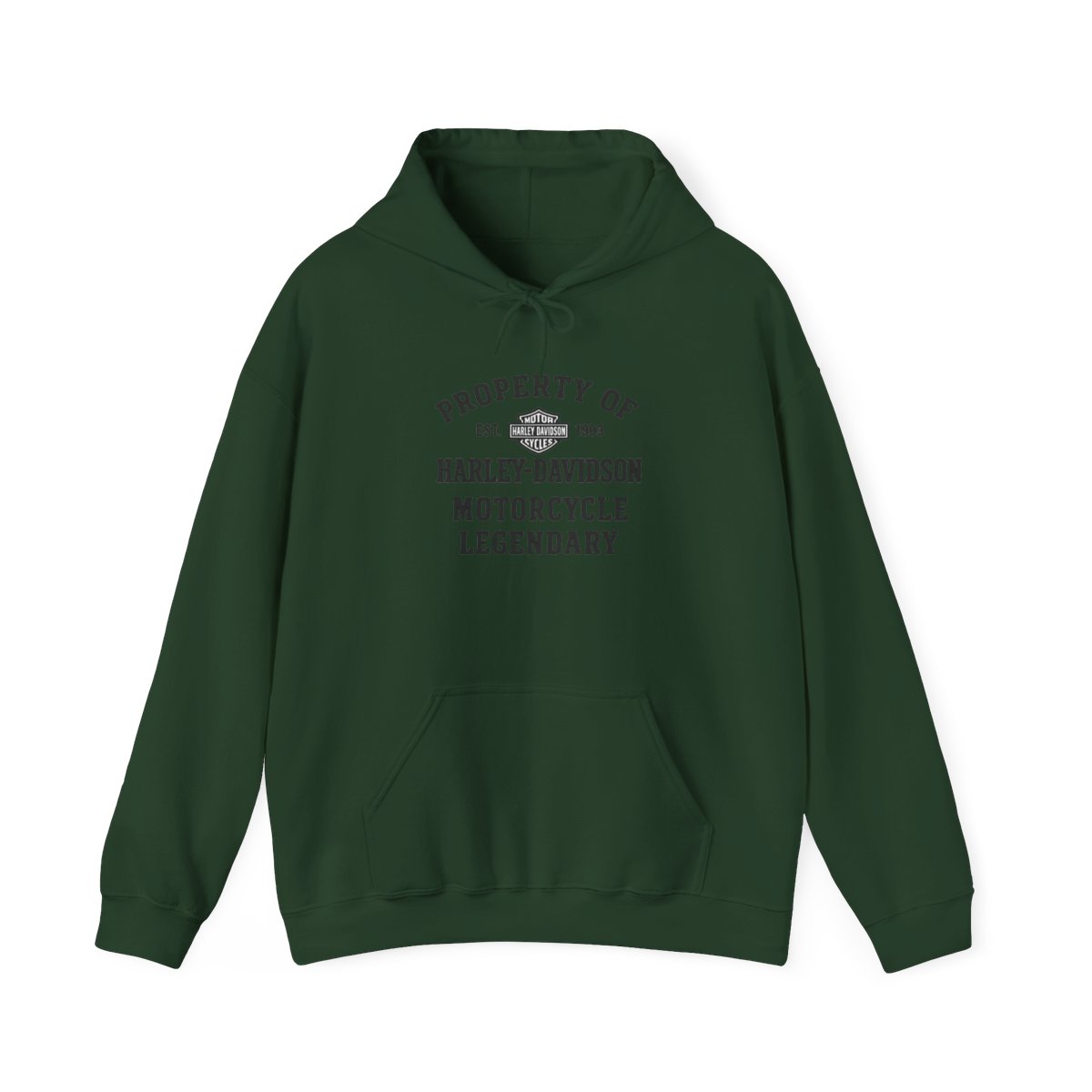 Harley-Davidson "PROPERTY OF EST. 1903 HARLEY-DAVIDSON" Hoodie - alternate angle 5, merchandise